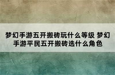 梦幻手游五开搬砖玩什么等级 梦幻手游平民五开搬砖选什么角色